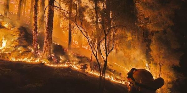 Las llamas en el incendio de Tenerife