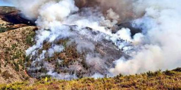 Once incendios calcinan en torno a tres mil hectáreas