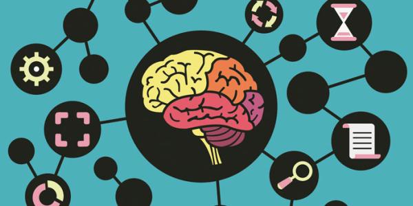 Qué información retiene nuestro cerebro
