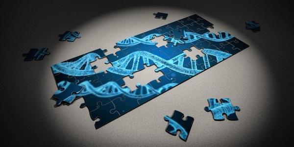 Rompecabezas que ilustra la cadena de ADN / Pixabay