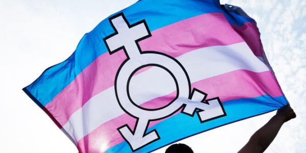 Bandera reivindicativa de los derechos trans en una manifestación por la Ley Trans