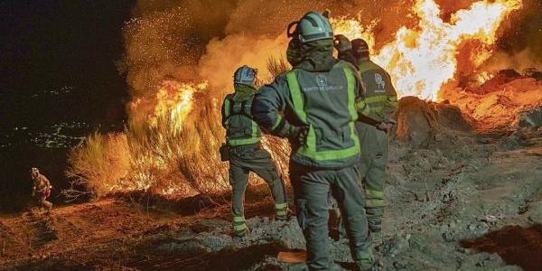 Nueva Ley de Vigilancia Forestal