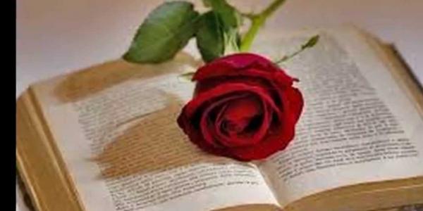 El libro y la rosa, elementos fundamentales en el día de Sant Jordi