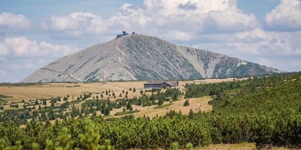Limpiar los montes