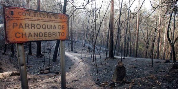 Ejemplo de madera quemada