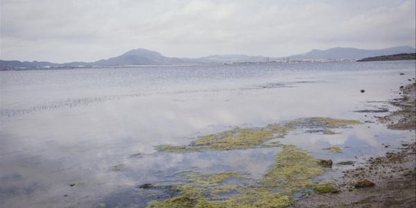Asociaciones ecologistas temen que se descuide "aún más" el estado del mar Menor