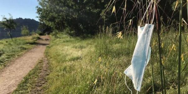 Una mascarilla abandonada en un entorno natural / EUROPA PRESS/ECOEMBES