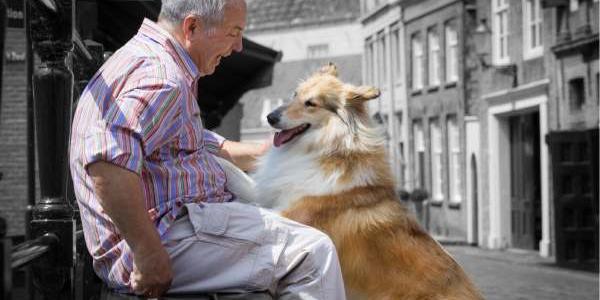 Mascotas en personas con demencia o Alzheimer