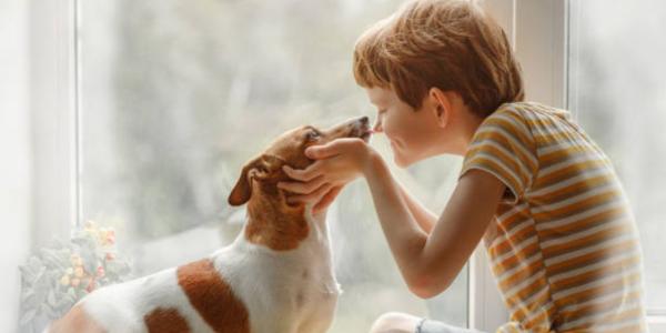 Mascotas y enfermedades que pueden transmitirnos