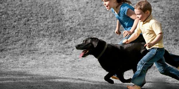 Las mascotas y los niños