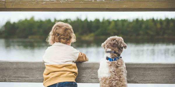 Las mascotas pasarán a ser de la familia desde hoy 