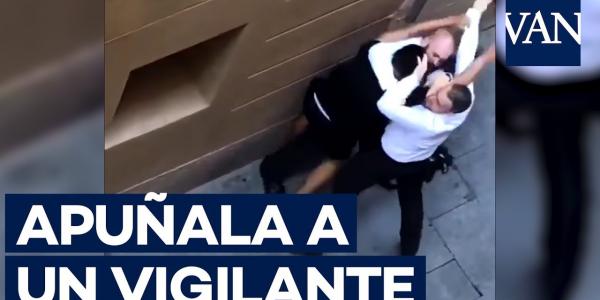 Vigilante de seguridad