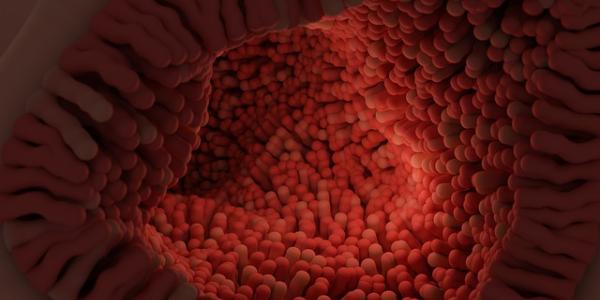 La microbiota intestinal y el acohol