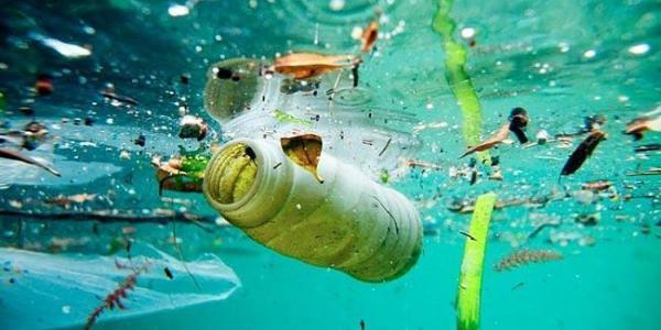 Contaminación de los océanos/Fundación Terram