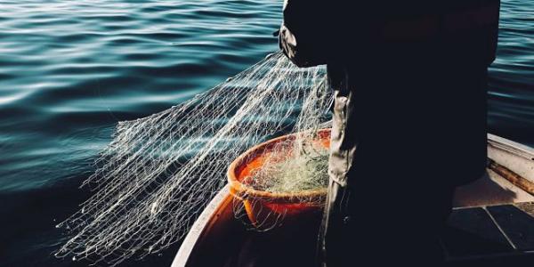 La pesca sostenible ayuda a detener la sobrepesca