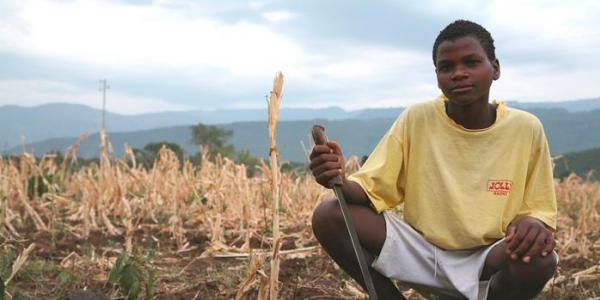 Niño en un campo agrícola seco