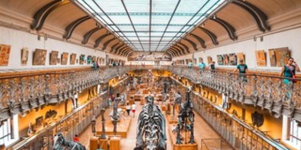 Museos accesibles