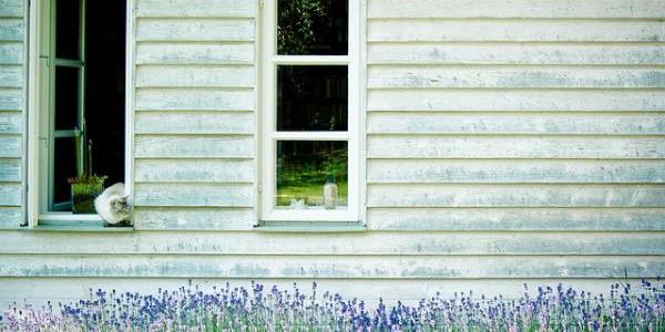 Podemos observar la naturaleza desde casa