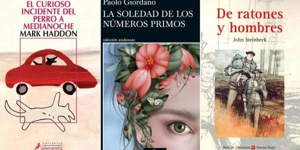 Novelas que hablan sobre la discapacidad