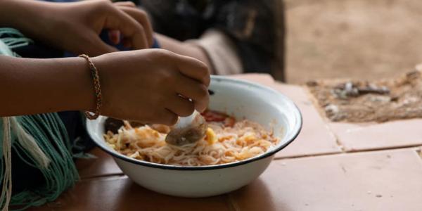 FAO apuesta por medidas para luchar contra la desnutrición