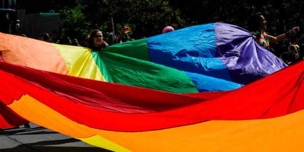 Podemos promoverá una declaración contra el odio homófobo. Imagen de Toni Reed en Unsplash.