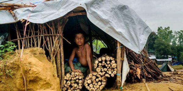 Leña para cocinar y alumbrar en un precario hogar de Bangladesh