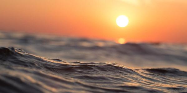 Olas de calor en el mar: qué las causa y cuáles son sus efectos