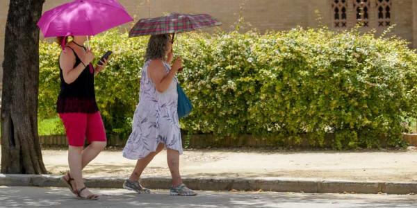 Este otoño se experimentarán temperaturas más altas de lo normal