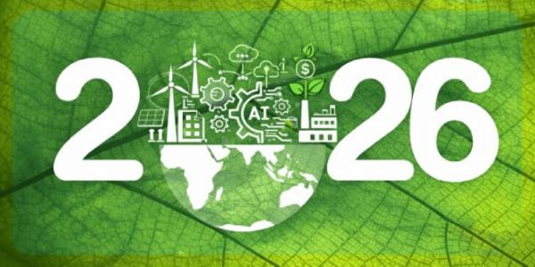 sostenibilidad empresarial 