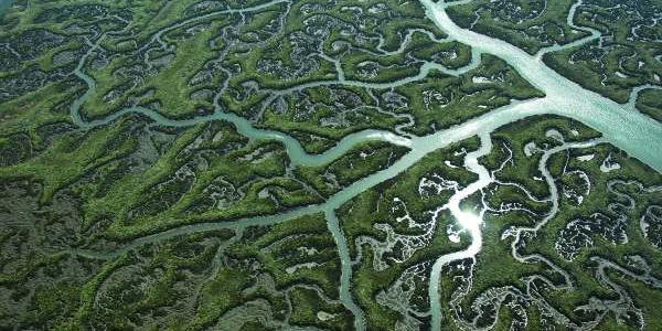 Vista desde el aire de Doñana