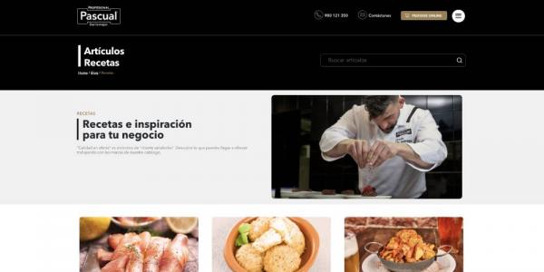 Captura de pantalla de la web Pascual Profesional