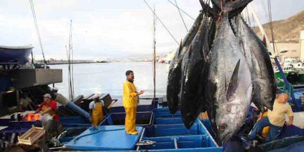 La pesca española recibirá 1200 millones de Europa