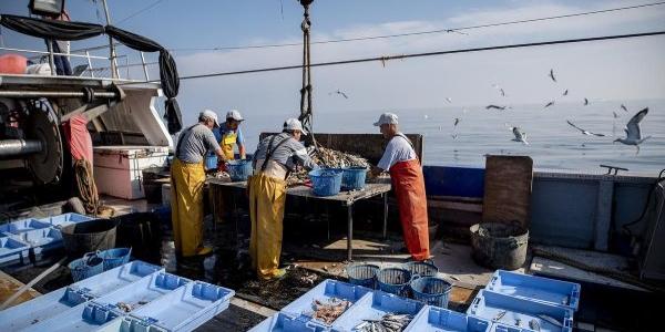 Pescadores retirando basura marina
