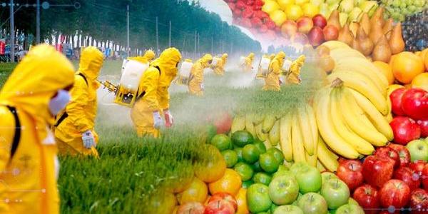 Pesticidas en alimentos