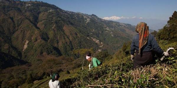 La población mundial también se encuentra en las montañas