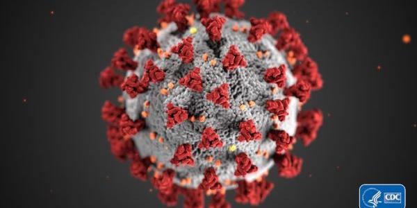 Coronavirus en primer plano, circulo con pequeñas manchas de colores intensos 