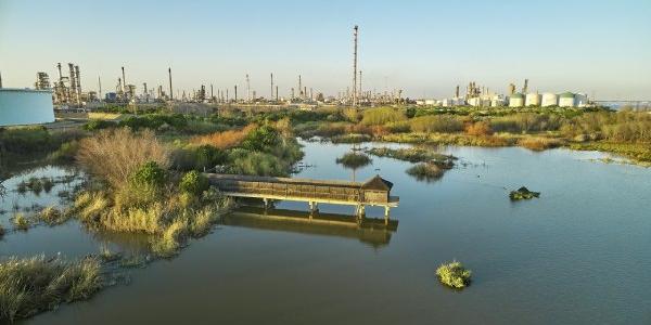 Protección de espacios naturales como Laguna Primera en Palos de Frontera, Huelva