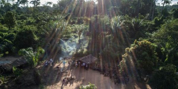 Proteger los bosques