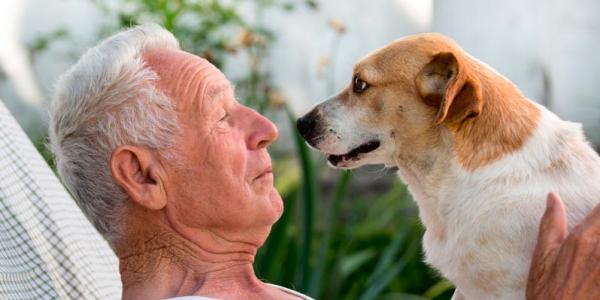 Una persona mayor juega con un perro