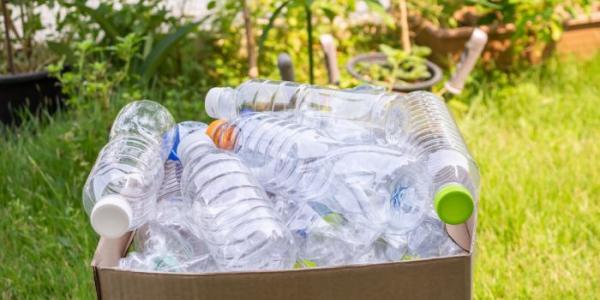 Botellas de plástico en una caja