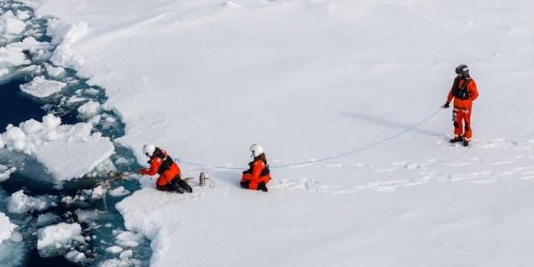 Investigadores recogiendo el alga contaminada del Ártico