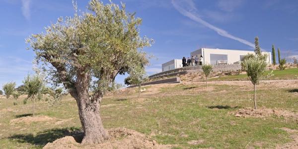 Recordarium, un ecobosque para depositar las cenizas