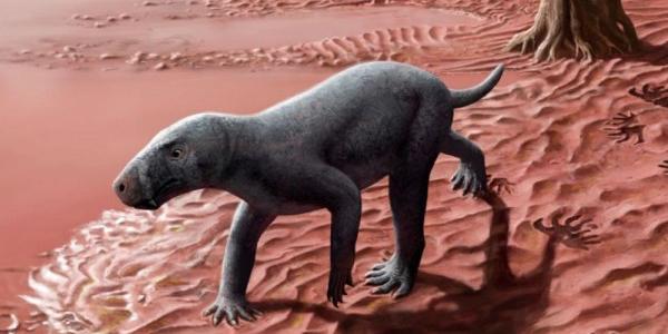 Recreación artística de un gorgonopsio en lo que actualmente sería la isla de Mallorca