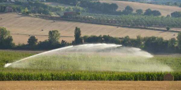 Ejemplo de regadío en agricultura