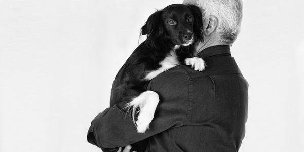 Perro y dueño/Pixabay