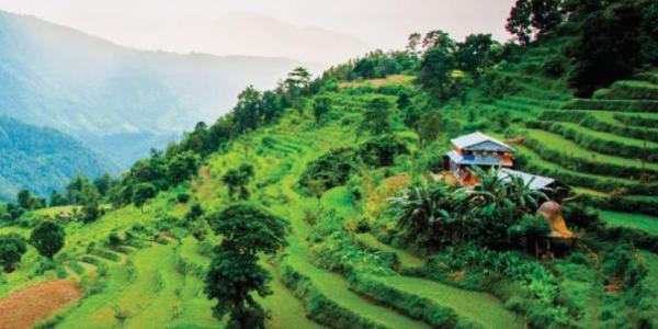 La humanidad usa 1,6 veces la cantidad de servicios que la naturaleza puede proporcionar de manera sostenible | Foto: Pnuma/FAO