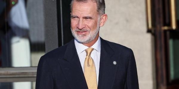 El Rey Felipe VI 