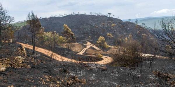 Incendio en Tarragona