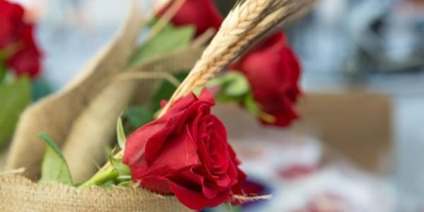 En Sant Jordi se regalan rosas y libros