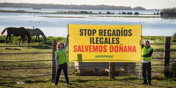 Greenpeace manifestándose por Doñana